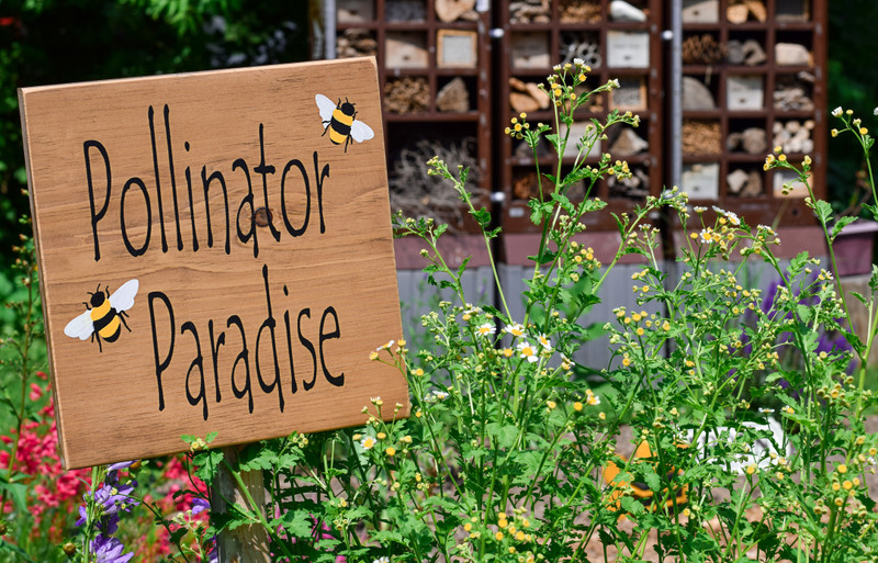 Eco-Friendly Landscaping Tips 