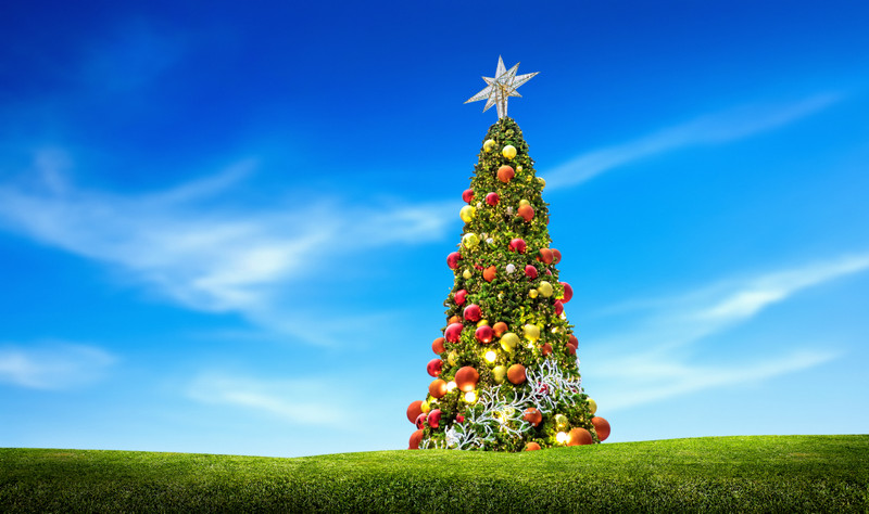 And that's a wrap on 2024!