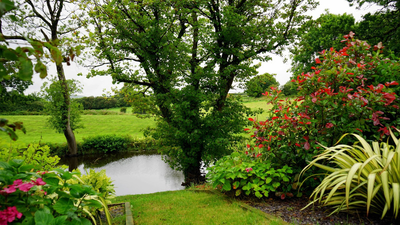 5 Tips for having a garden you love, in time for summer 5 Tips for having a garden you love, in time for summer