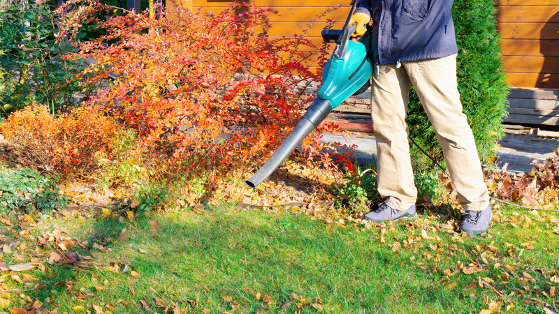 Autumn Lawn Care Tasks