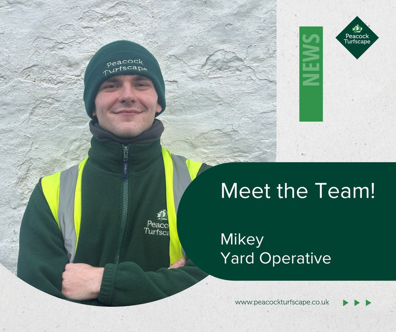 Meet the Team - Mikey