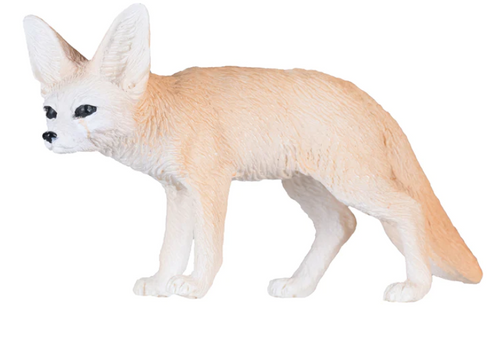 Mojo - Fennec Fox