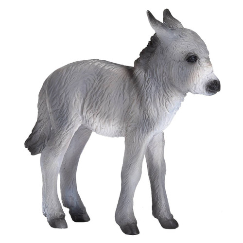 Mojo - Donkey Foal