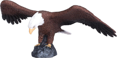 Mojo - American Bald Eagle