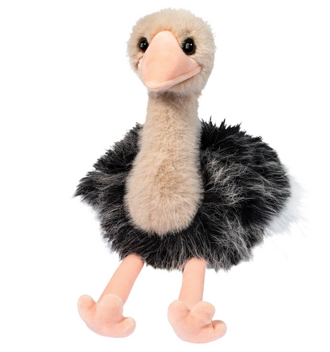Omar Ostrich 11 " Sitting