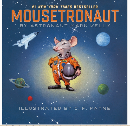 Mousetronaut