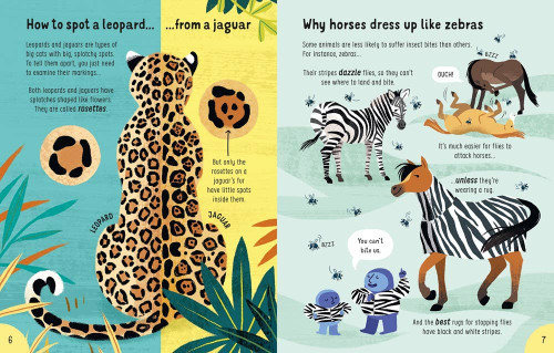 Lots of Things to Know About Animals : Usborne