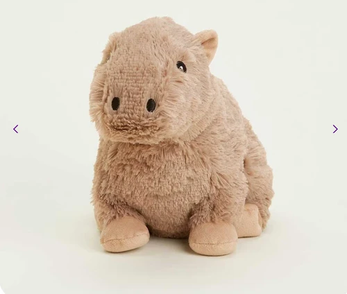 Capybara Warmies