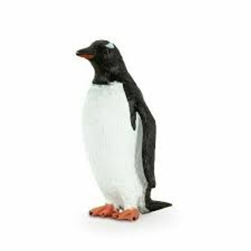 Mojo - Gentoo Penguin