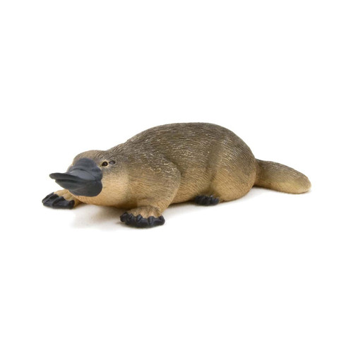 Mojo - Duck Billed Platypus