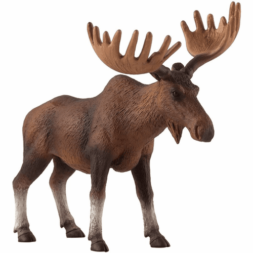 Mojo - Moose