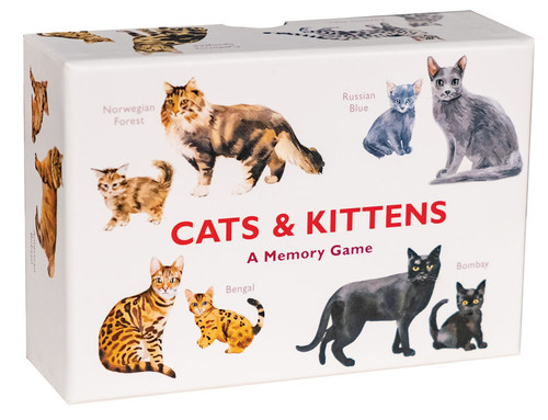 Cats and Kittens Memory Game