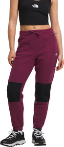 The North Face Winter Warm Pro Tight - Women's