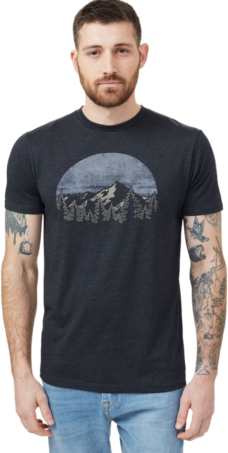 Meteorite Black Heather|Météorite bruyère noire|PRI