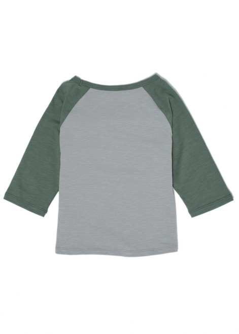 Boulder Grey Mountains Ar|AppelMontagnesGrisBloc