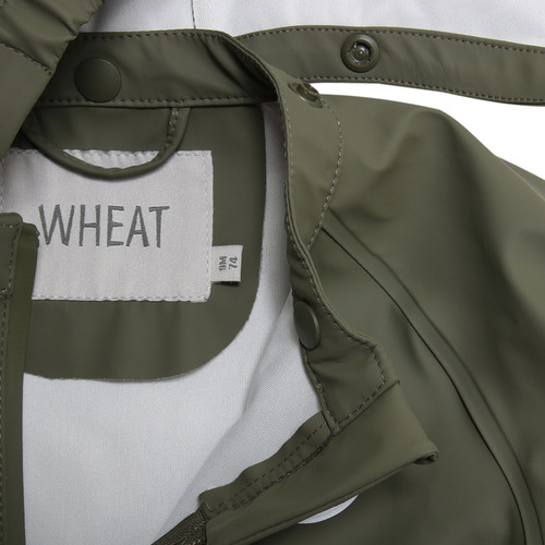 Olive|Olive