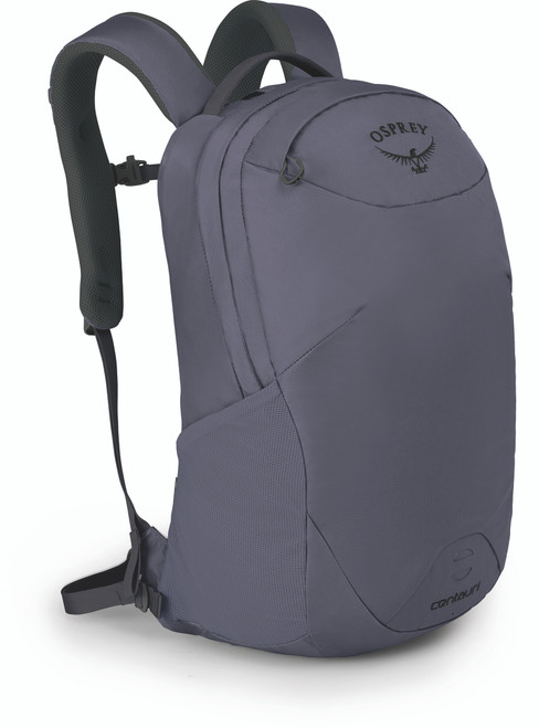 Aster Purple|Pourpre aster|PRI