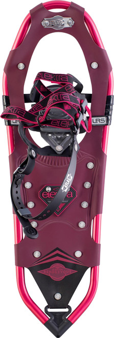 Fuchsia|Fuchsia|PRI