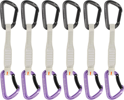 Alpine Calamint|Calamint alpin|PRI