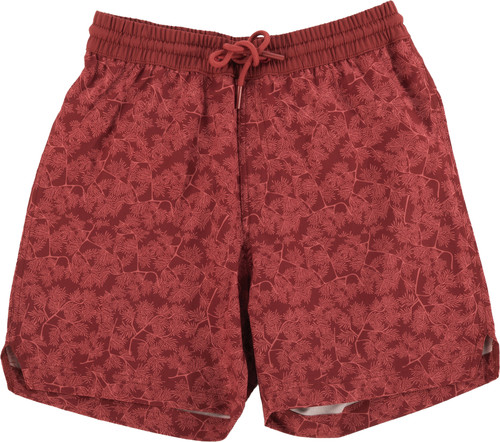 Red Spruce|Red Spruce|PRI