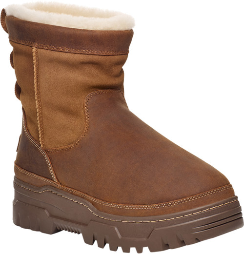 Chestnut|Châtaignier|PRI