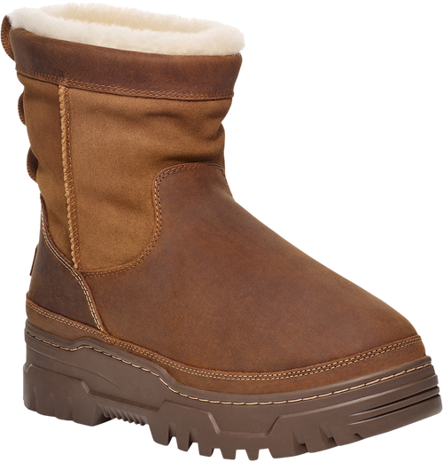 Chestnut|Châtaignier|PRI