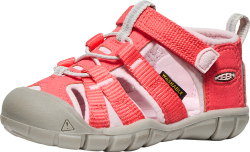 Dubarry/Pink-A-Boo||PRI