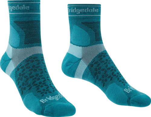Teal|Sarcelle d’hiver|PRI