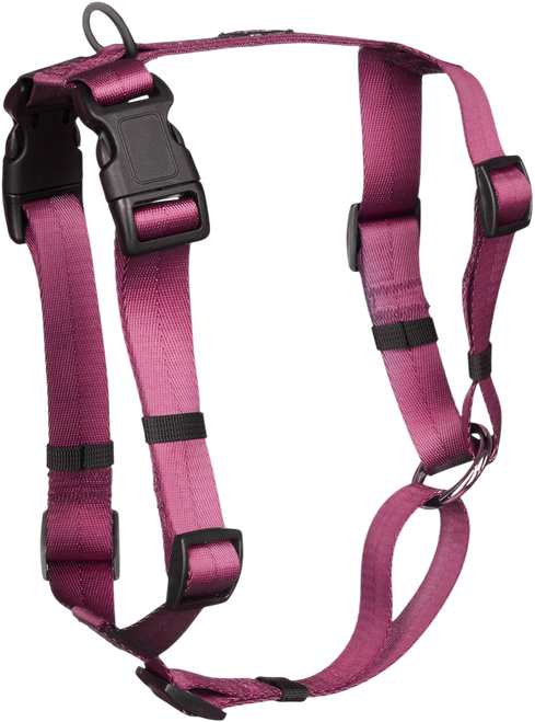 Plum|Prune|PRI