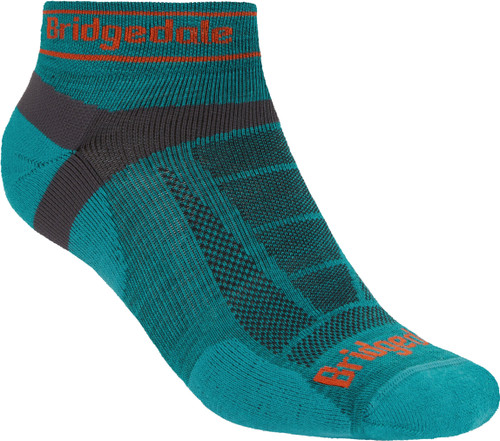 Teal|Sarcelle d’hiver|PRI