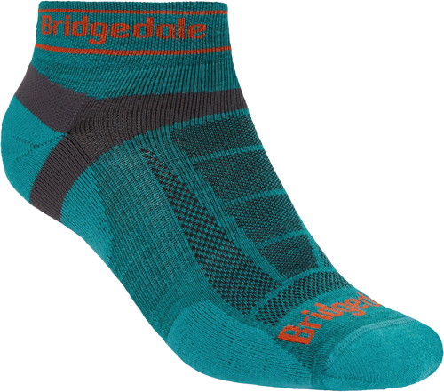 Teal|Sarcelle d’hiver|PRI