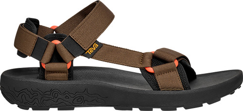 Desert Palm|Palmier du désert|PRI