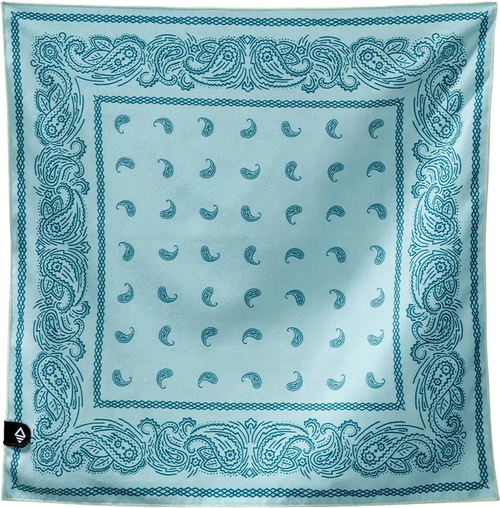 Paisley Seafoam Green|Vert écume de mer cachemi|PRI