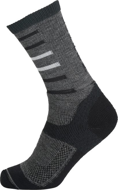 Whales Grey|Whales Grey|PRI