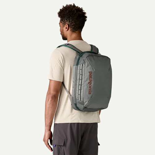 Noble Grey|Gris noble