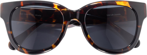 Tortoise Slate|Ardoise de tortue|PRI