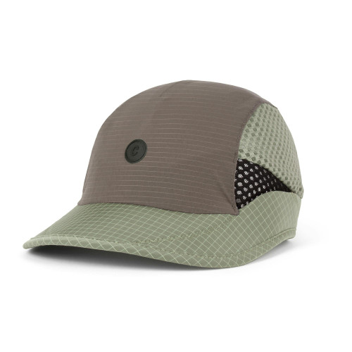 Toad|Crapaud|PRI