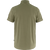 Light Olive|Olive clair|ALT