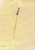 Dark Butternut|Noyer cendré|ALT