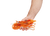 Orange+|Orange|ALT