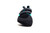 Black/Teal|Noir/Sarcelle|ALT