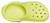 Citrus|Agrume|ALT