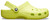 Citrus|Agrume|ALT