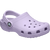 Lavender|Lavande|ALT