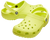 Citrus|Agrume|ALT