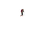 Rio Red|Rouge Rio|ALT