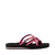 Lindi Boysenberry|Lindi Boysenberry|ALT