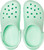 Neo Mint|Menthe néo|ALT
