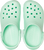 Neo Mint|Menthe néo|ALT