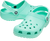 Pistachio|Pistache|ALT